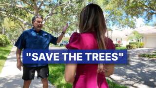 Brian Rickert, a resident of The Isles community in Palm Beach Gardens, speaks to WPTV reporter Samantha Gutierrez about the potential environmental impact of removing nearly half of the area's oak trees.