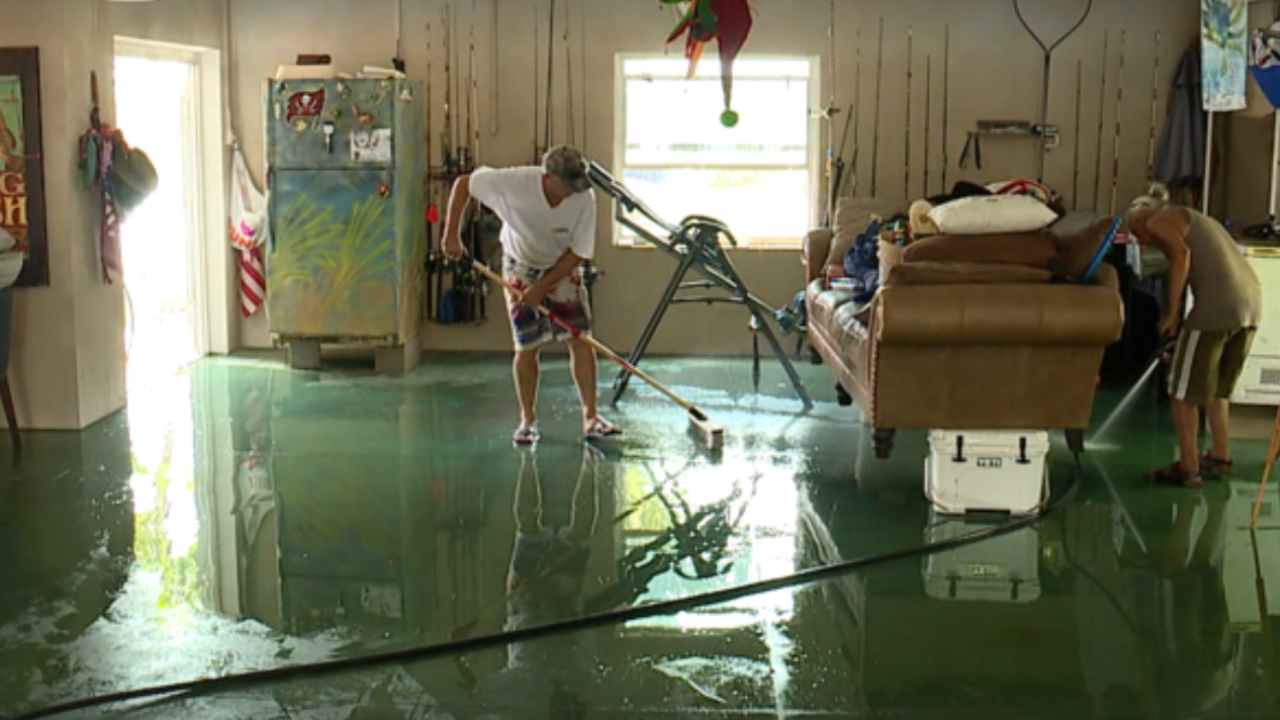 Idalia After the Strom: Hillsborough County