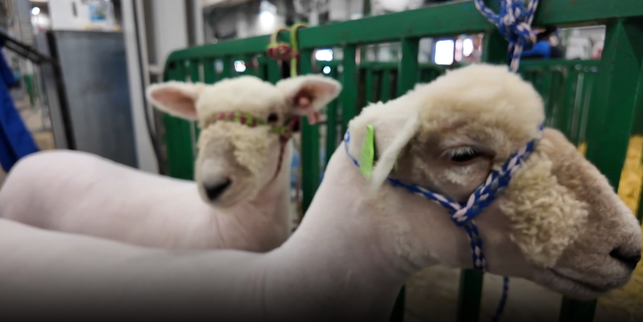 Screenshot 2025-08-14 220708.png