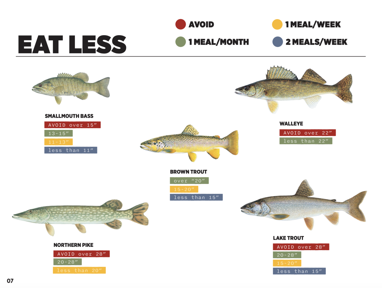 Montana Sport Fish Consumption Guidelines