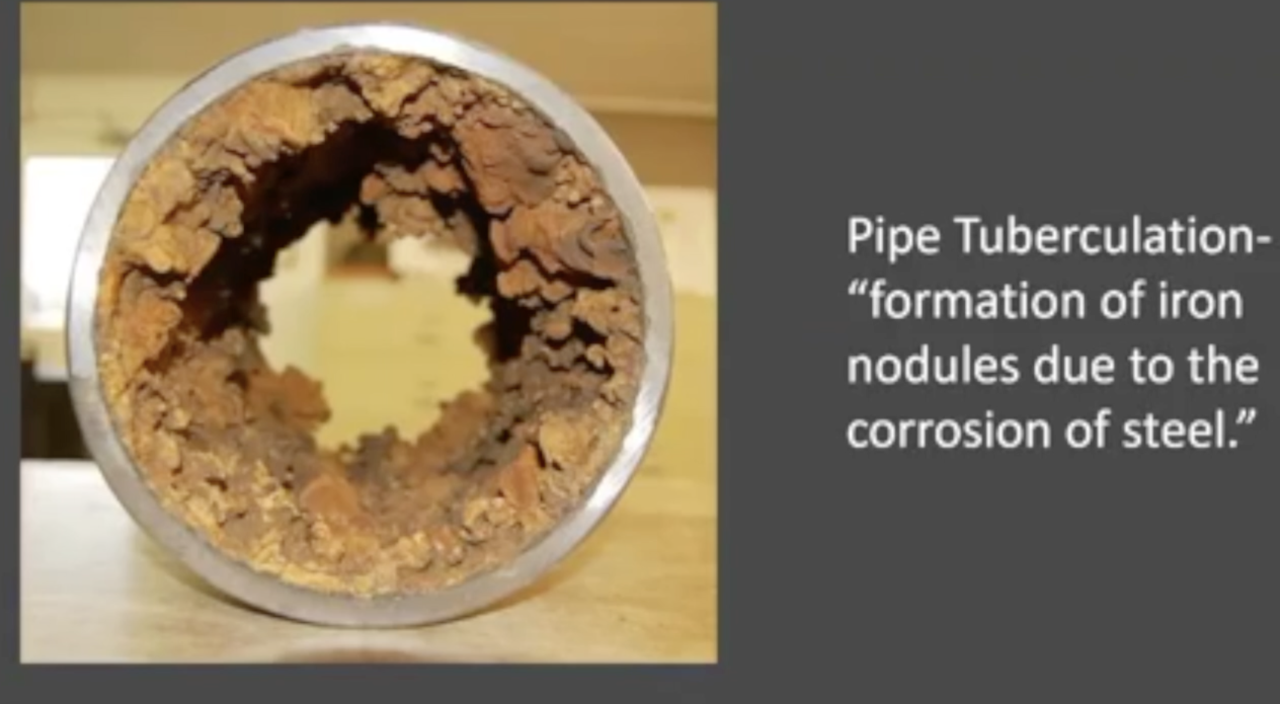 Screenshot 2023-03-02 at 11.49.38 AM.png