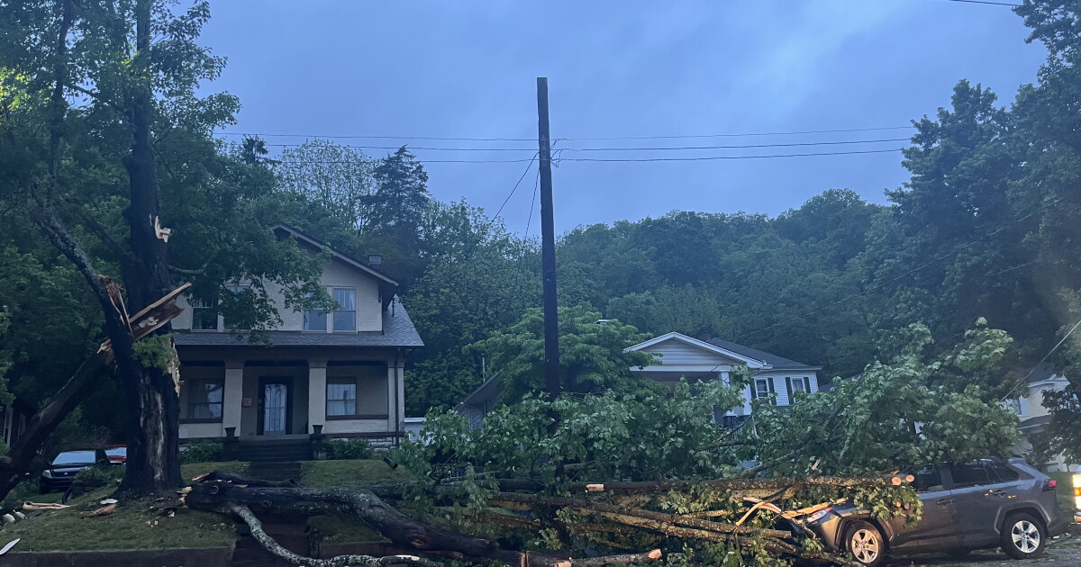 High winds in region cause down trees and widespread power outages