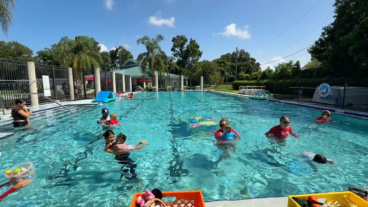 Seal Swim School