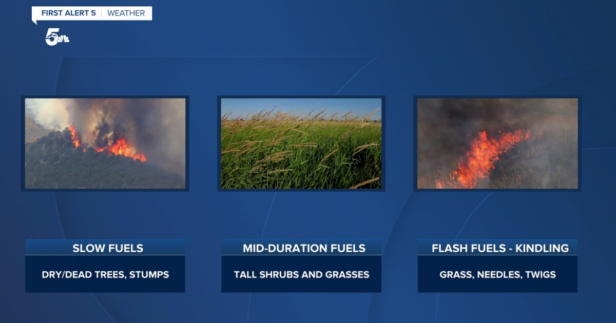Fire Science: How to identify dry fuels in Colorado to avoid starting a fire - Vimarsana News