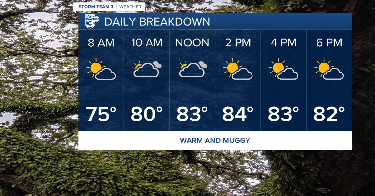 Quiet weather this week as warm, muggy conditions dominate - Vimarsana News