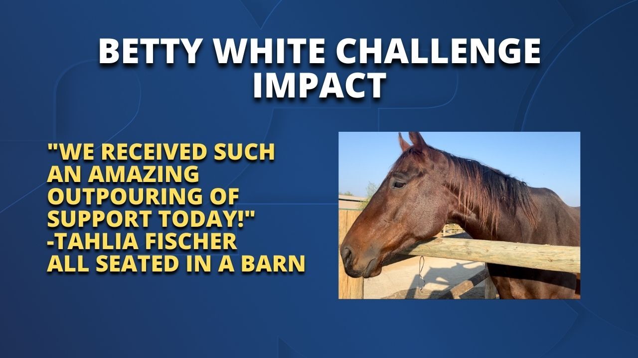 All Seated in a Barn Comment.jpg