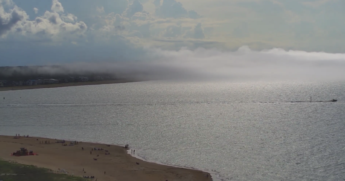 Foggy start to Friday as temperatures begin to warm up - Vimarsana News