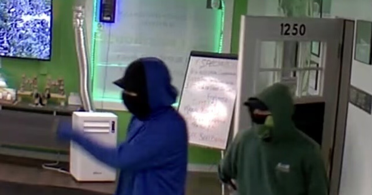 Police investigating armed robbery at Butte cannabis dispensary - Vimarsana News