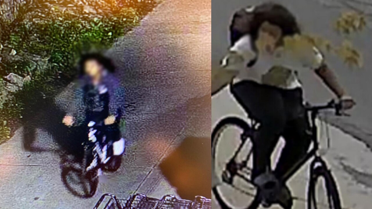 blurredbikesuspect.jpg