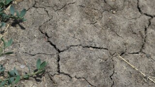 dry-soil.jpg