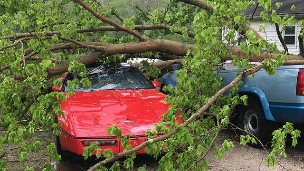 PHOTOS: Storm damage across central Indiana