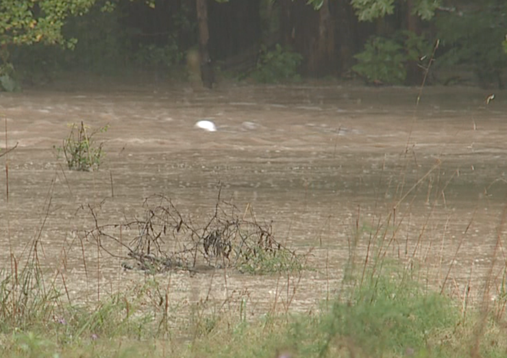 Image from iOS (4).png