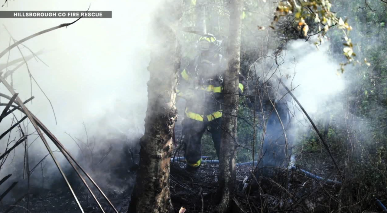 Hillsborough County Fire Rescue responds to plane crash