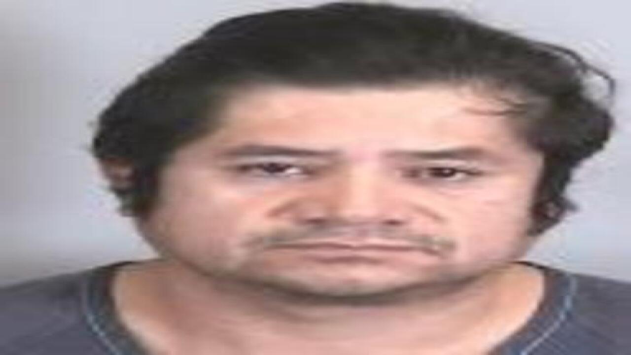PHOTOS: Check out 100+ mug shots from Tampa Bay