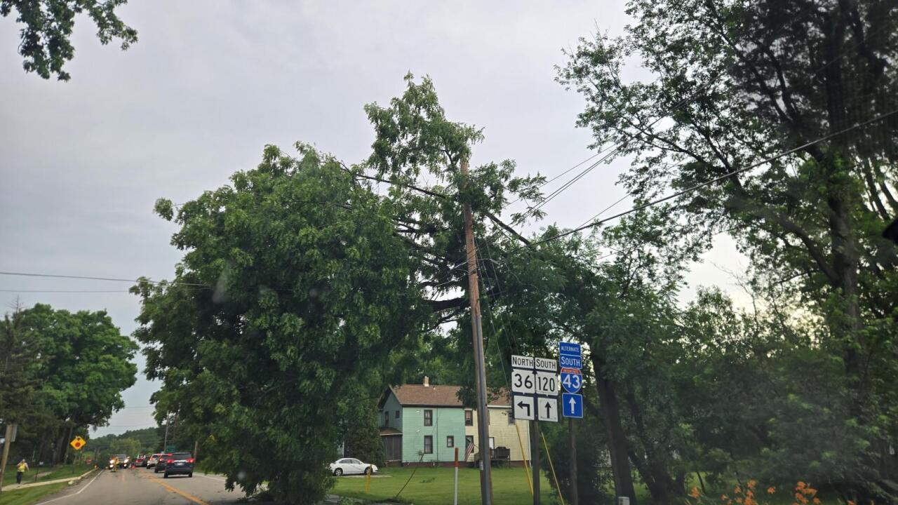 Walworth Co storm damage July 3, 2026