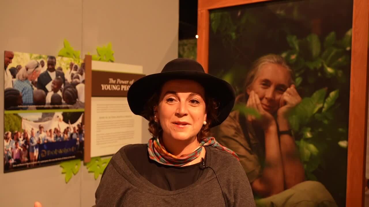 Poster image - 2025-10-03T164957.585.jpg