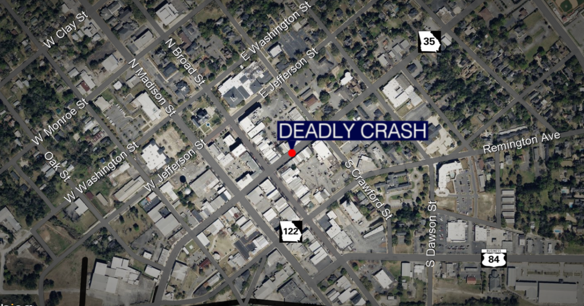 Coverage image for: GSP: Woman, dog killed in pedestrian crash in Thomasville Monday