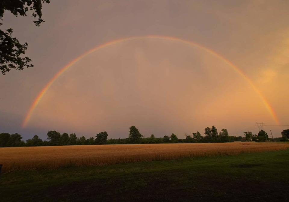 Sophia Cecardo Pleasnt Plain, OH.jpg