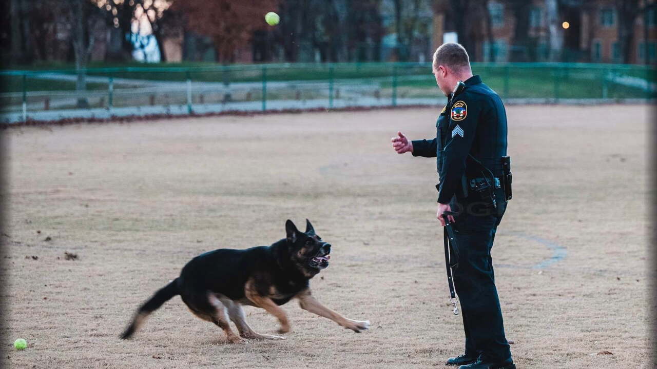 Axel BG K9.jpg