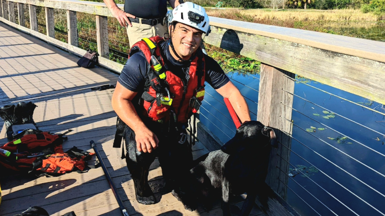 Navas dog rescue.png