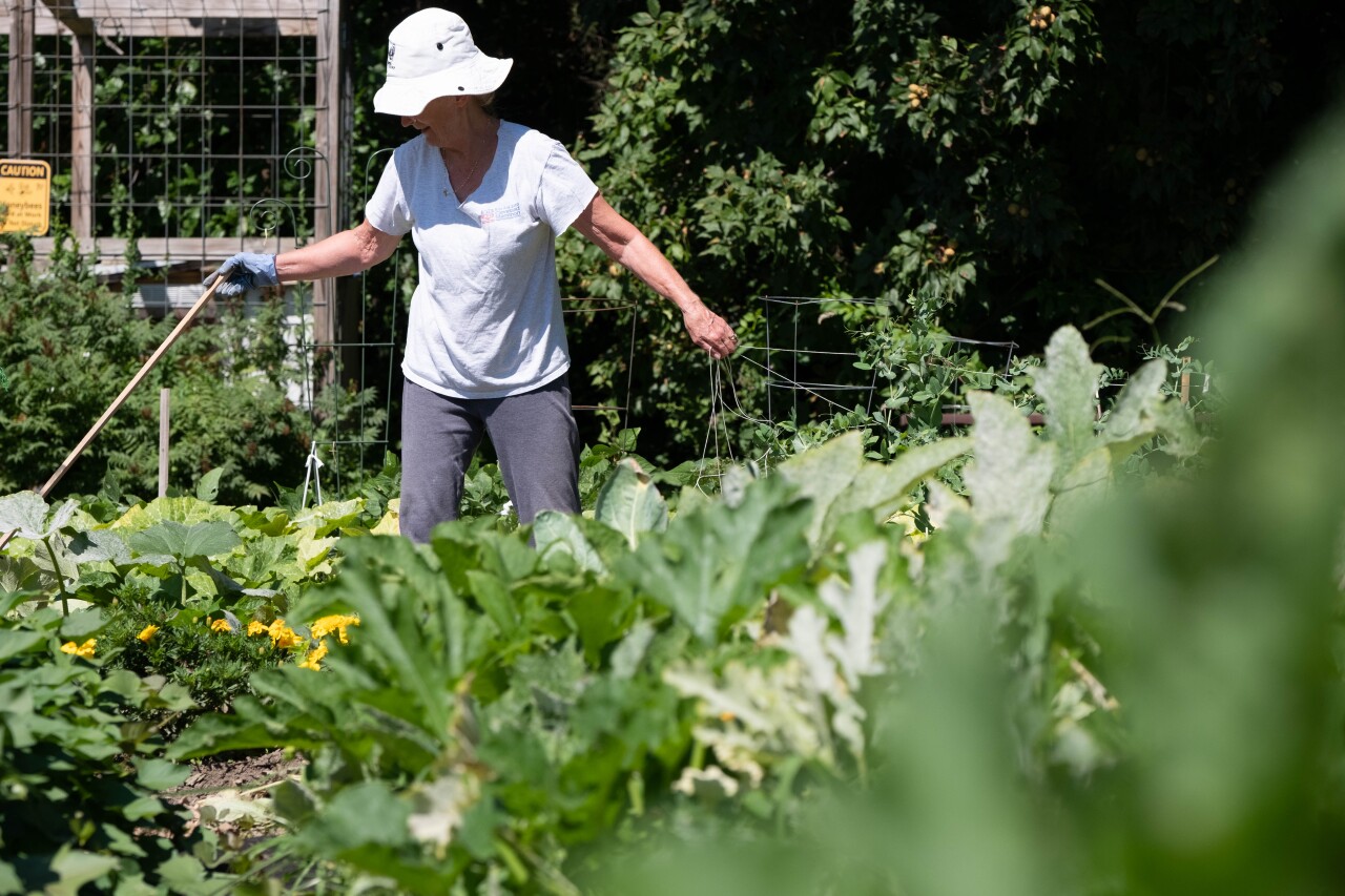 HG - Ben Franklin Community Garden 3.jpg