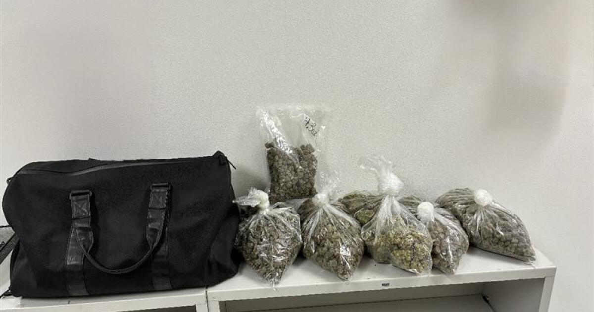 Traffic stop leads to drug seizure in Falls County