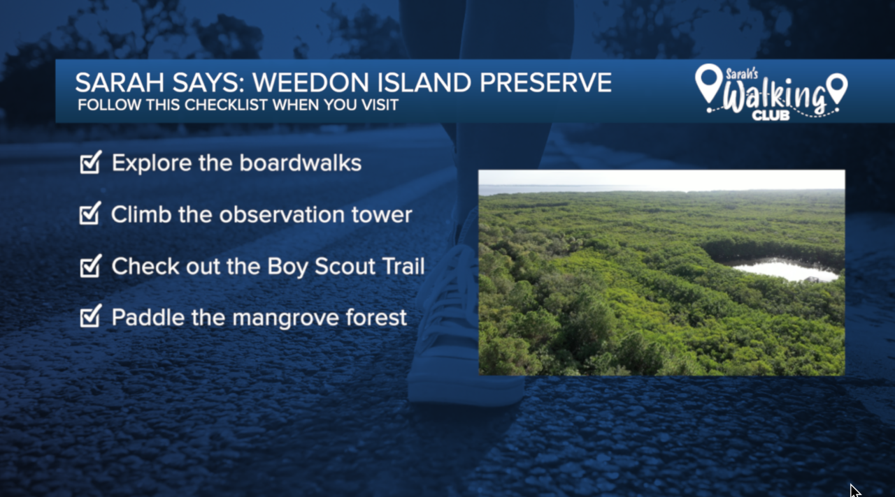 Screen Shot 2021-11-19 at 8.44.54 AM.png