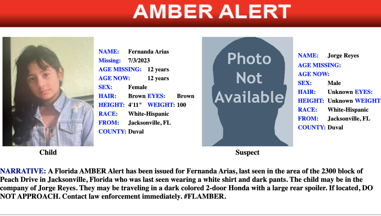 Amber Alert flyer