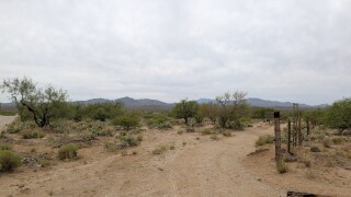 2351.jpg