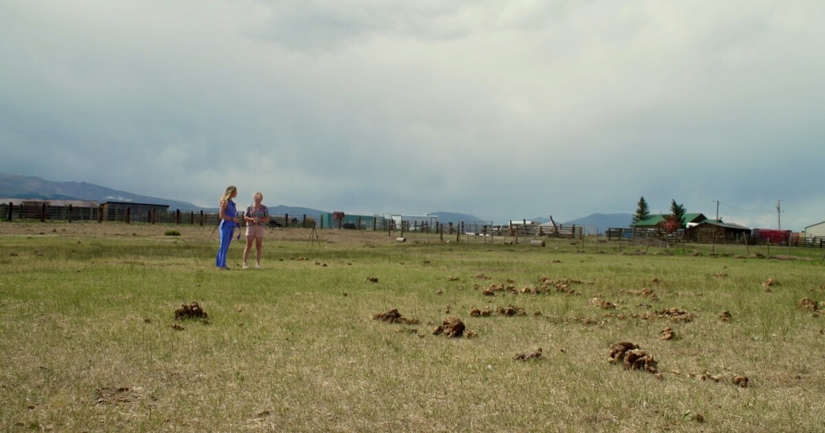 'This is becoming very dangerous': Drought conditions worry Park County officials, community members