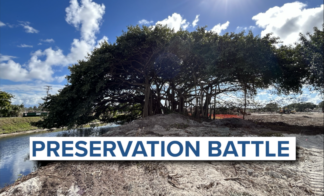 preservation battle.png