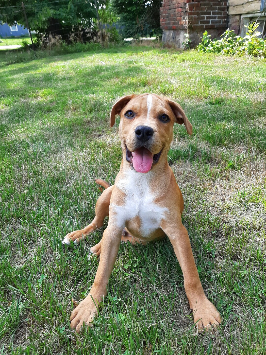 Cecil from Mackenzie's Animal Sanctuary