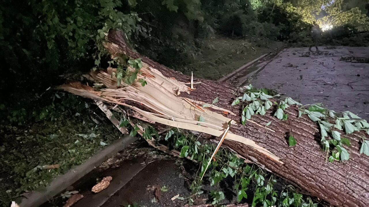 Plaza Drive, FOX 17.jpg