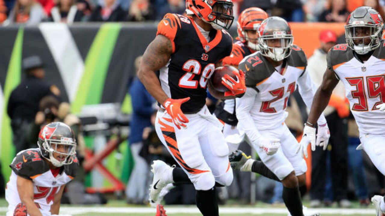 bengals hold off celebration