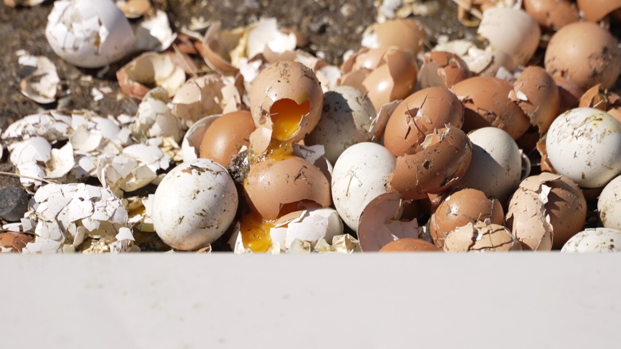 hail8_2.25.1.jpg