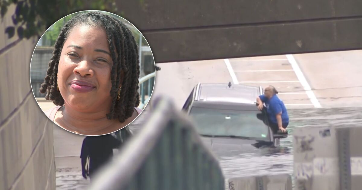 'I just quickly went into action:' woman recalls submerged SUV rescue in Norfolk