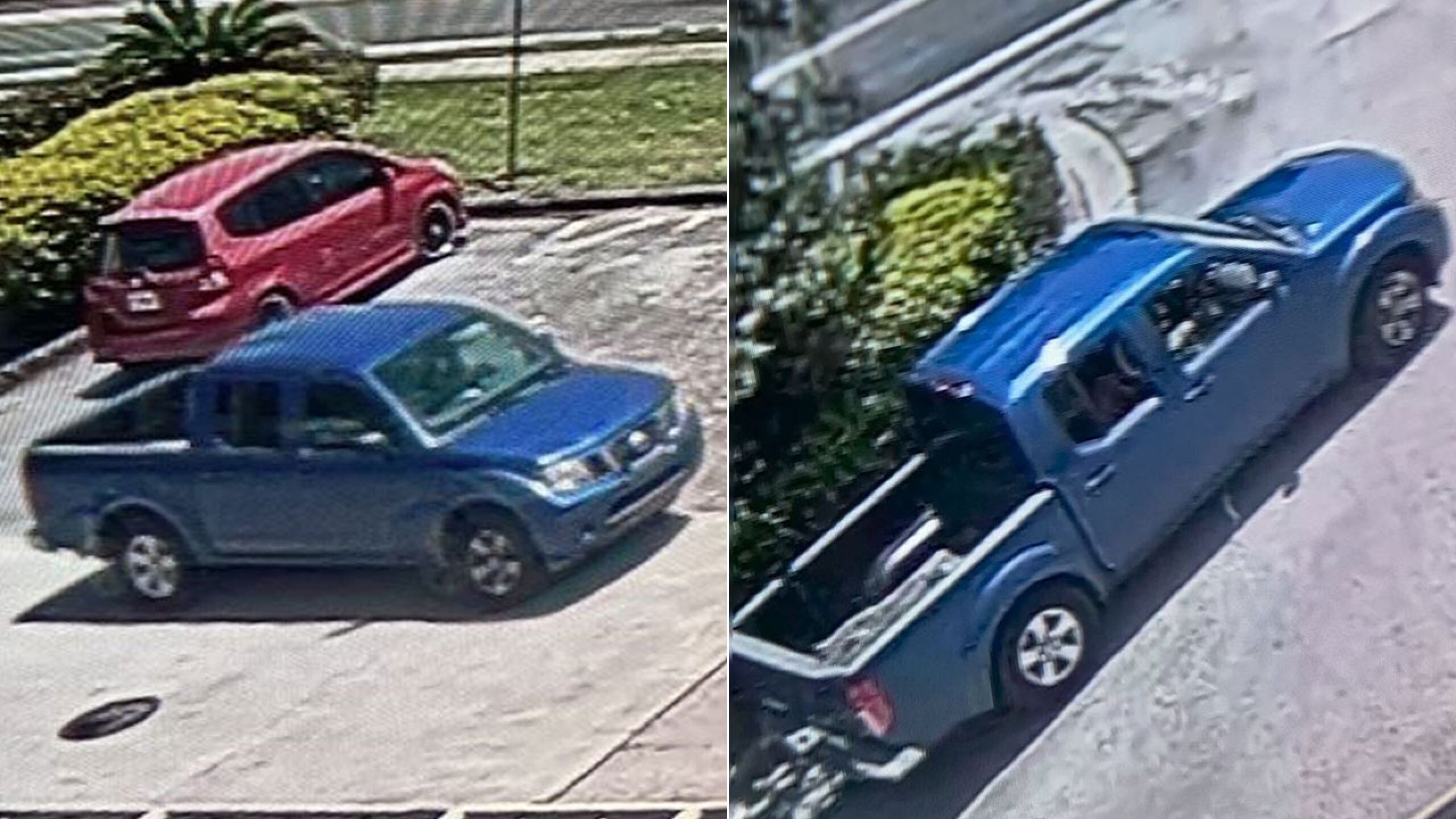 Wfla Plant city fl shooting