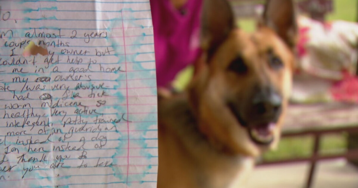 Owner abandons dog near Cheatham Dam and leaves behind note explaining why - Vimarsana News