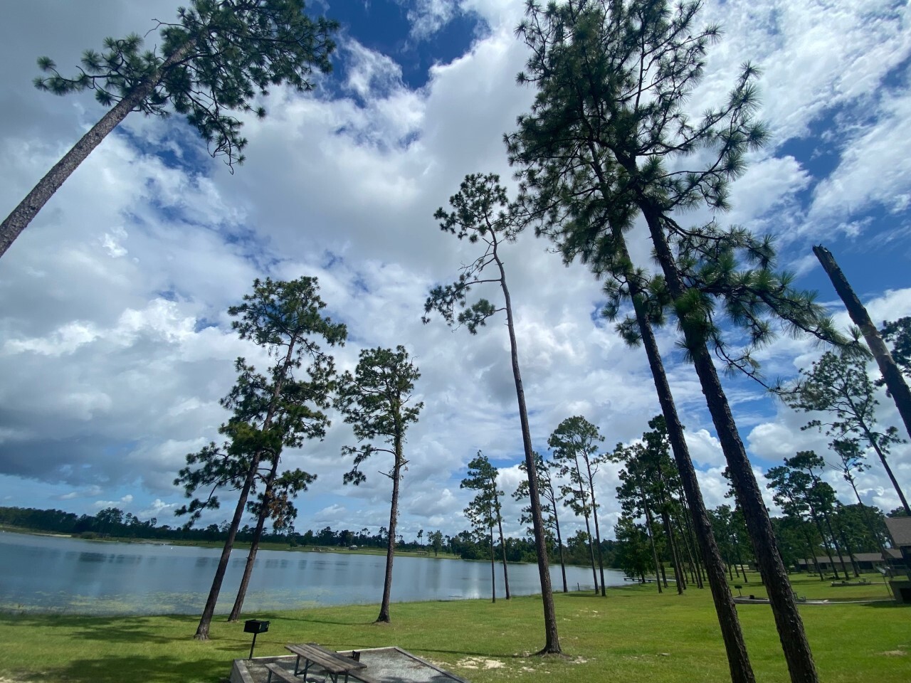 Seminole State Park trails