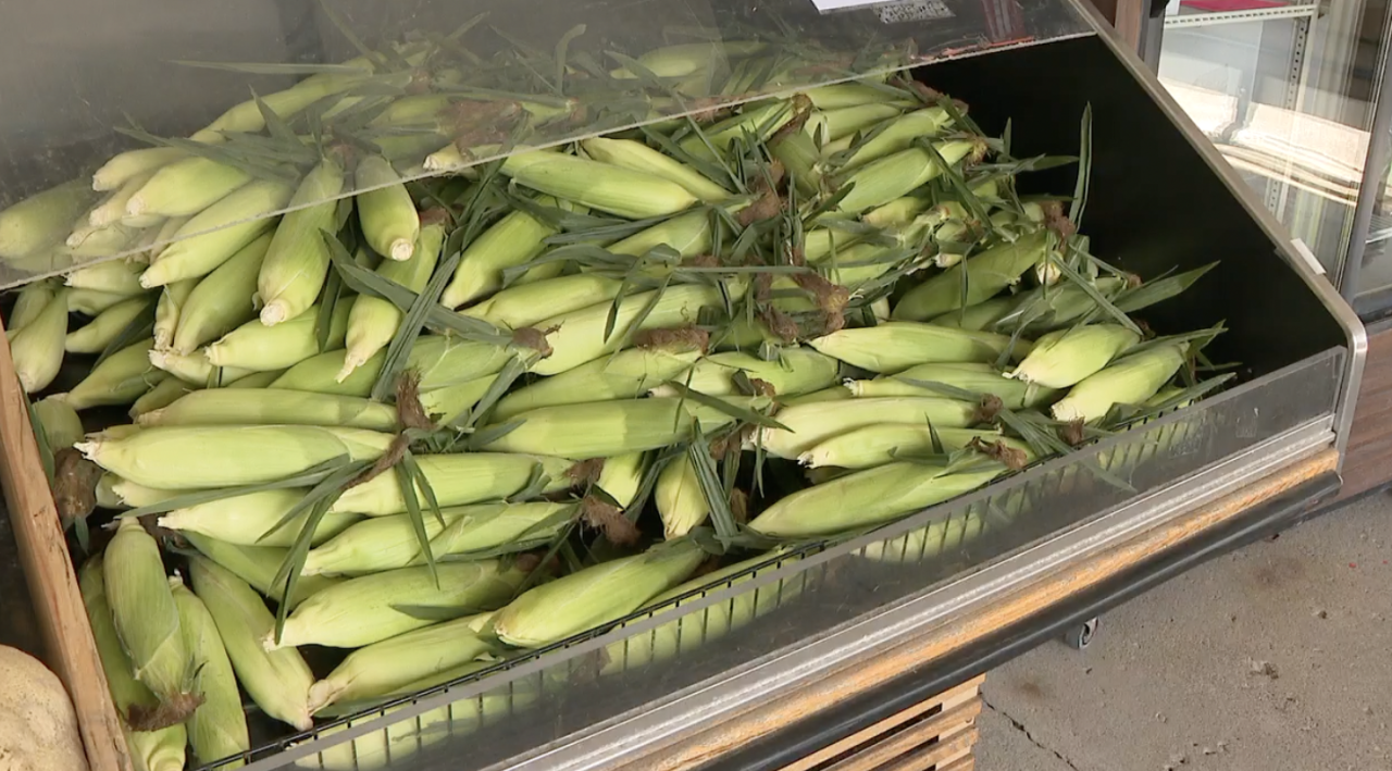 Screenshot 2025-08-01 at 3.44.08 PM.png