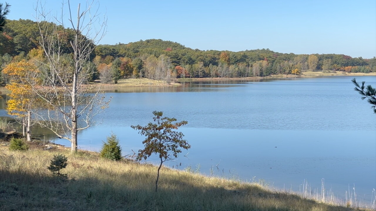 MILLAGE 4.jpg