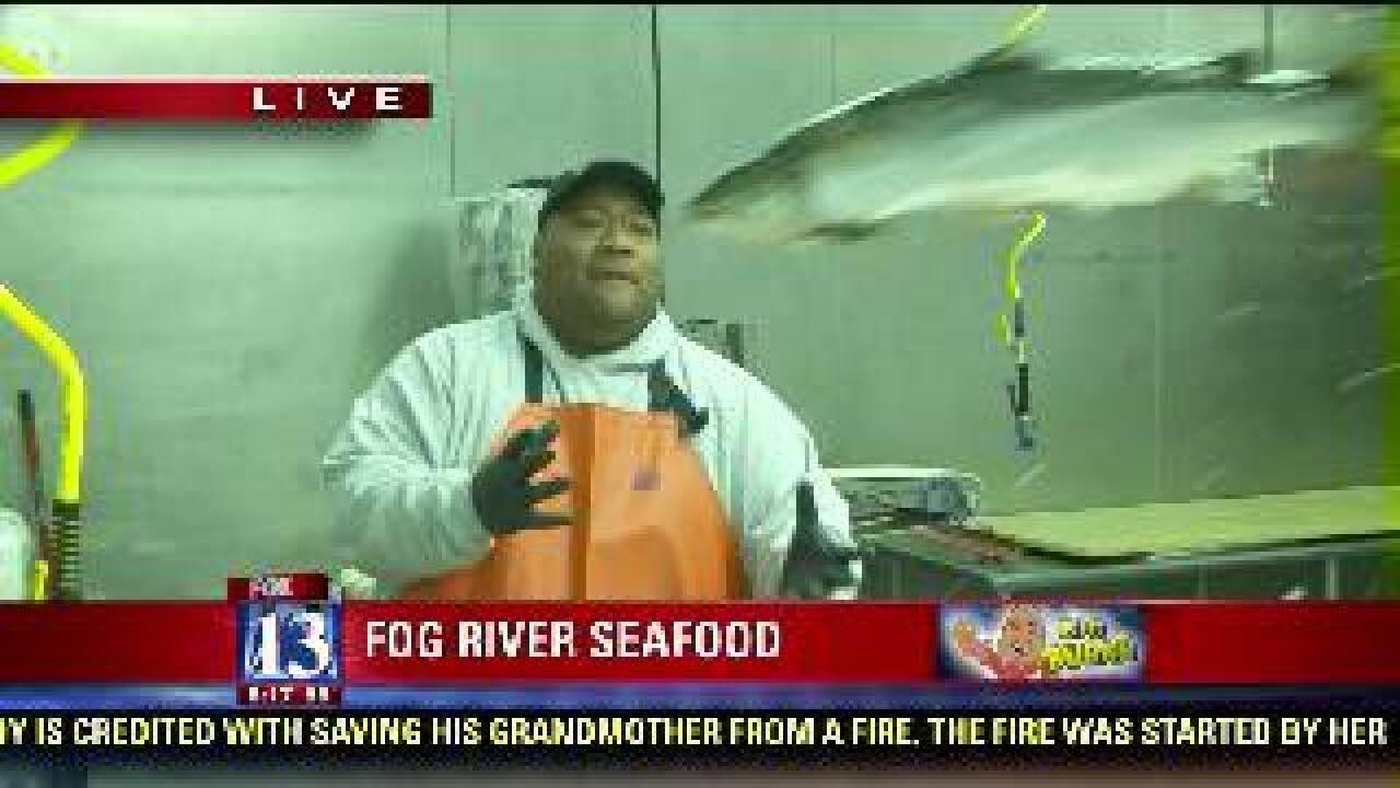Big Budah catches fish