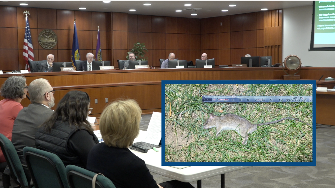 Ada County rat meeting 