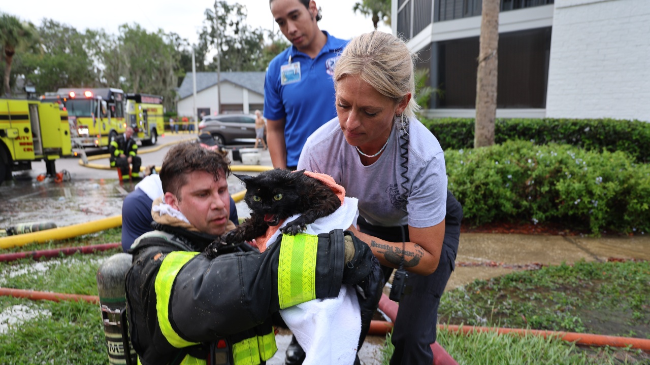 Bearss apartment fire