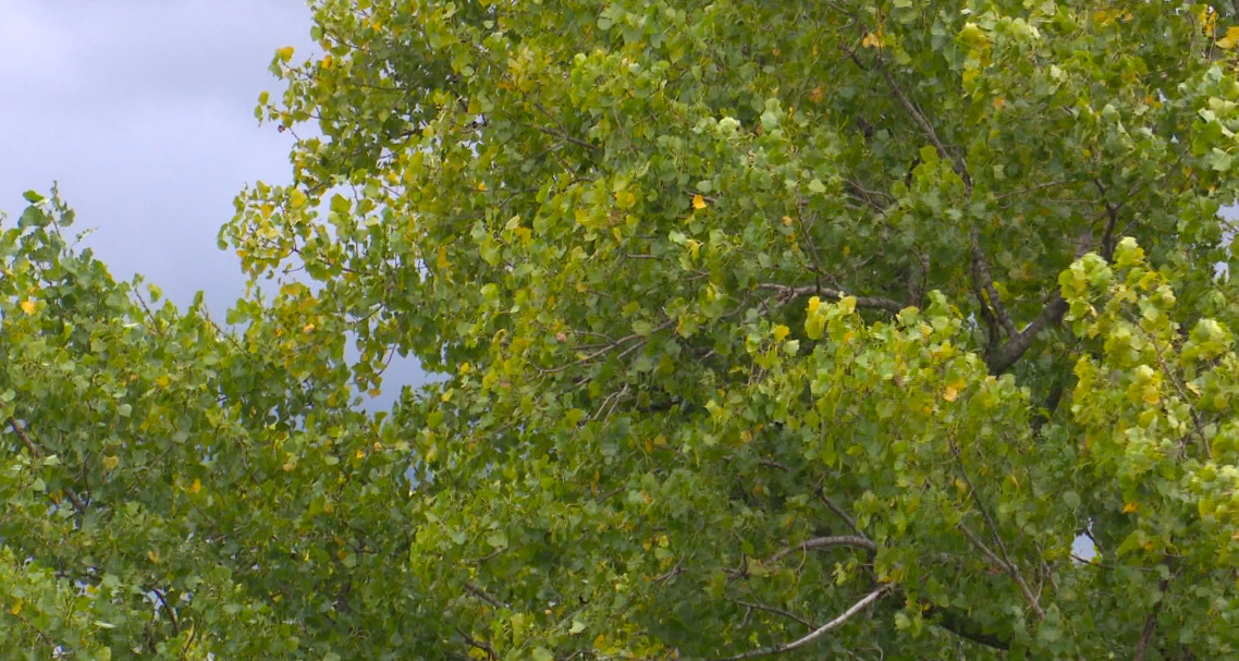 'Feels a lot like November right now': Northeast Wisconsin celebrates unofficial end to summer with fall-like temperatures