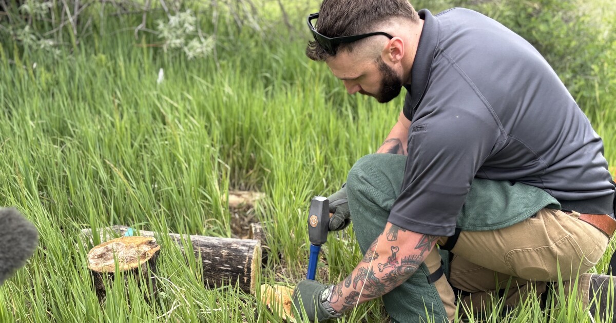 Arapahoe County taking proactive approach to wildfire season using new data analysis techniques