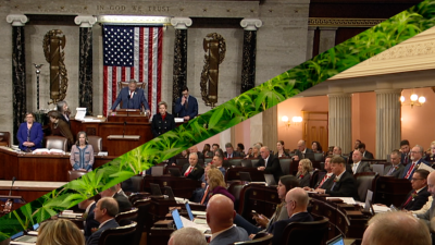 Congress vs Ohio in hemp debate