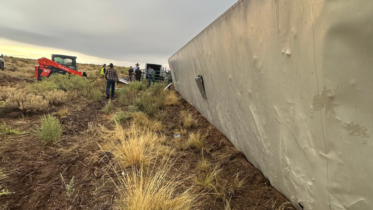 San Juan County Horse Trailer2.png