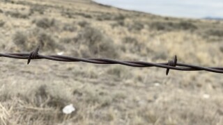 barbed wire.jpg