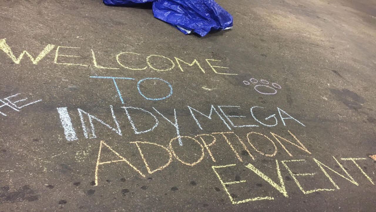 PHOTOS: IndyMega Adoption Event